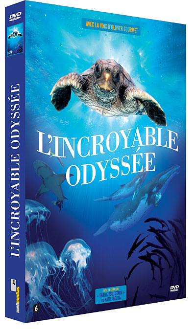 L'Incroyable odyssée