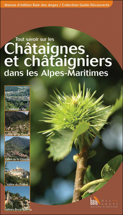 Tout savoir sur les châtaignes et les châtaigniers dans les Alpes-Maritimes