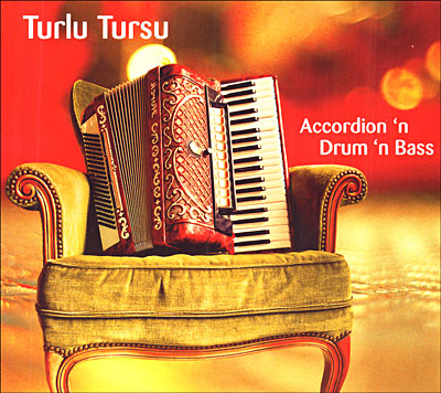 Accordion 'n drum 'n bass