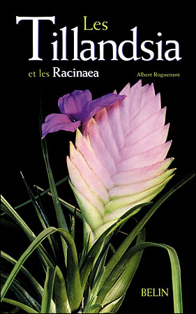Les Tillandsias