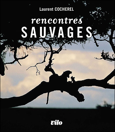 Rencontres sauvages - face à face avec la nature