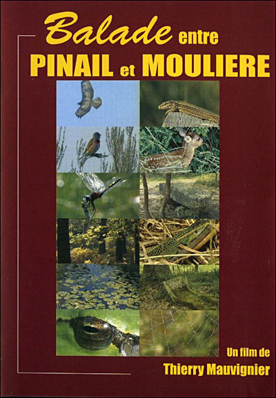 La Balade entre Pinail et Moulière
