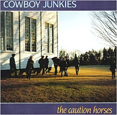 Caution horse
