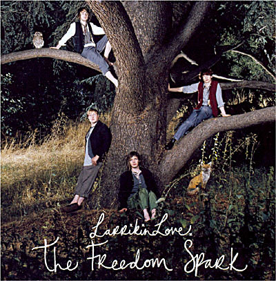 Freedom spark