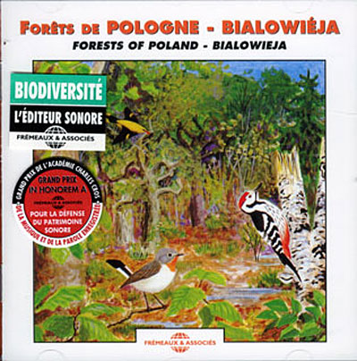 Forêts de Pologne