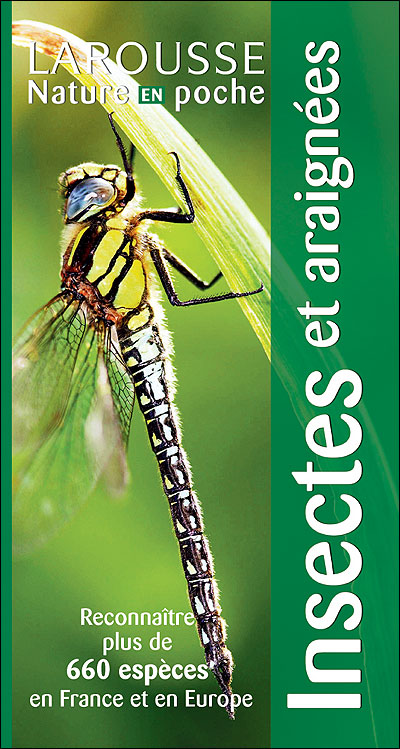 Insectes et araignées - nouvelle présentation