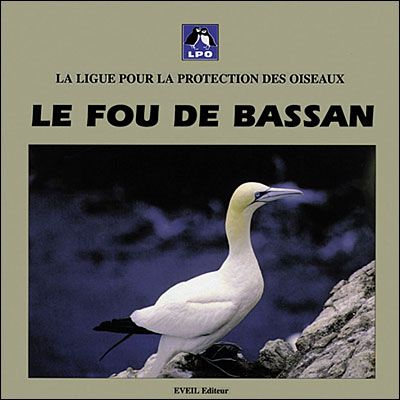 Le fou de bassan