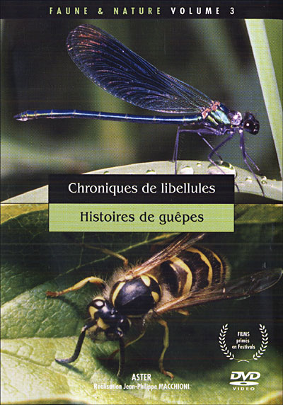 Chroniques de libellules - Histoires de guêpes