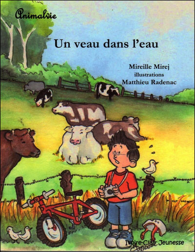 Un veau dans l'eau