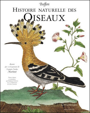 Buffon, Histoire naturelle des oiseaux