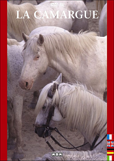 Camargue