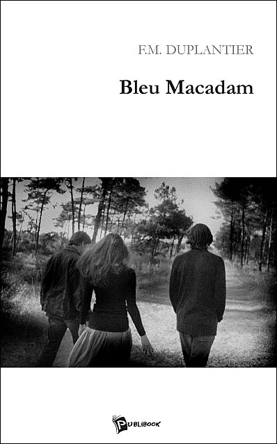 Bleu macadam