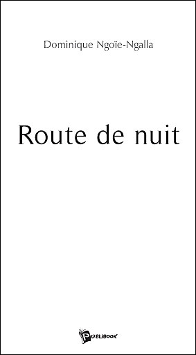 Route de nuit