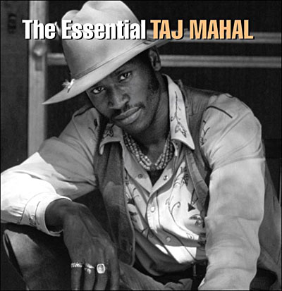 The Essential Taj Mahal