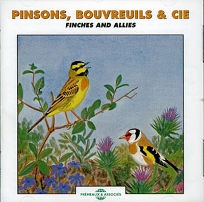 Pinsons bouvreuils et cie - Finches and allies