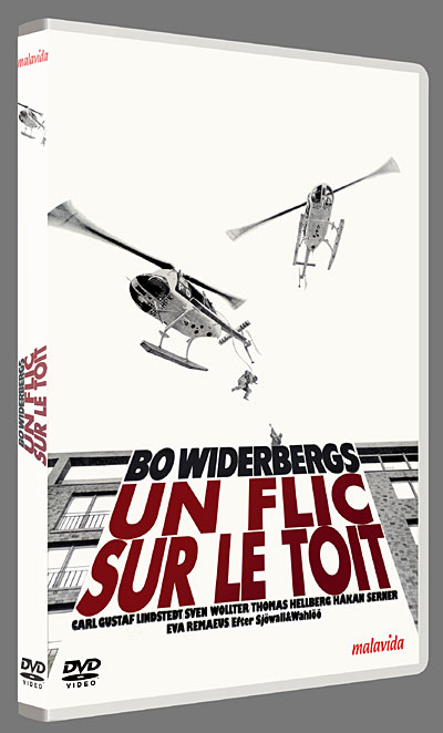 Un flic sur le toit