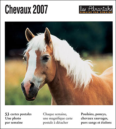 5 - 99 cartes - Lot de 70 CPM de chevaux