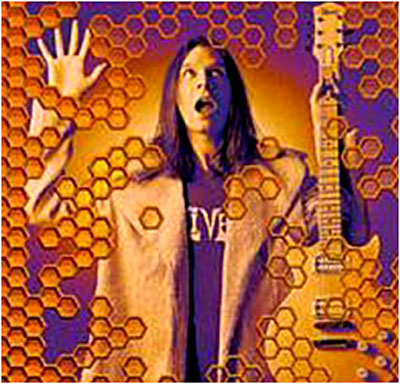 Beehive live