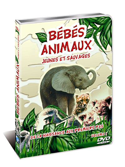 Les Bébés animaux - Volume 1
