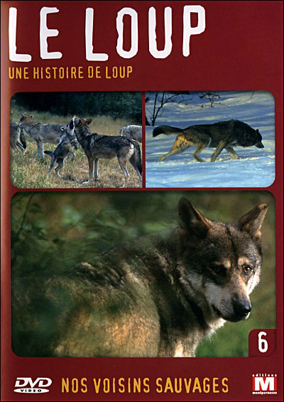 Volume 6 - Le Loup, une histoire