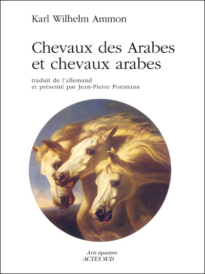 Chevaux Arabes et chevaux des arabes