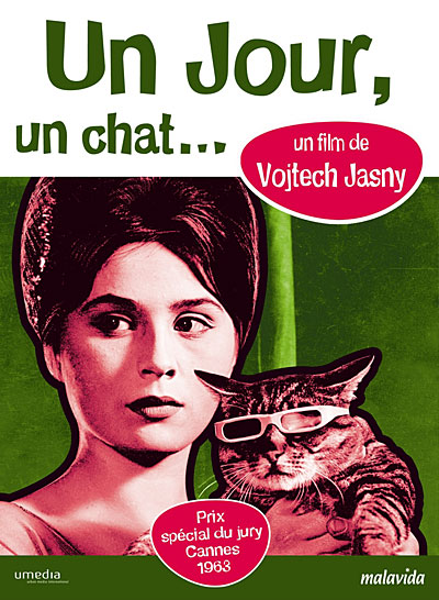 Un Jour Un Chat Vojtech Jasny Dvd Zone 2 Achat Prix Fnac