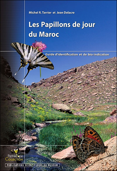 Les papillons de jour du Maroc