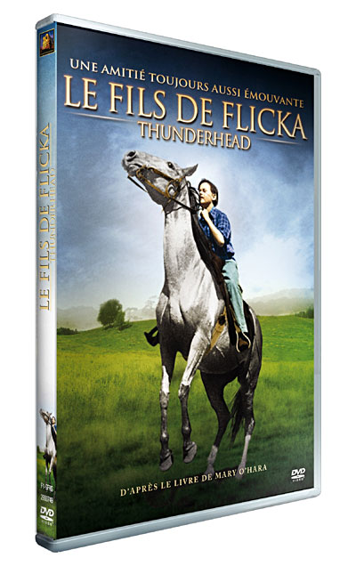 Le Fils de Flicka