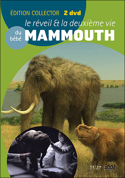 La deuxième vie et le réveil du bébé mammouth