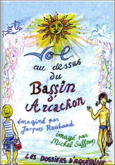 Vol au-dessus du bassin d'Arcachon