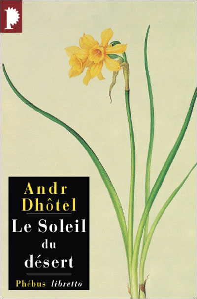 Le soleil du désert