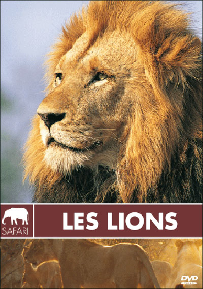Les Lions - Collection safari