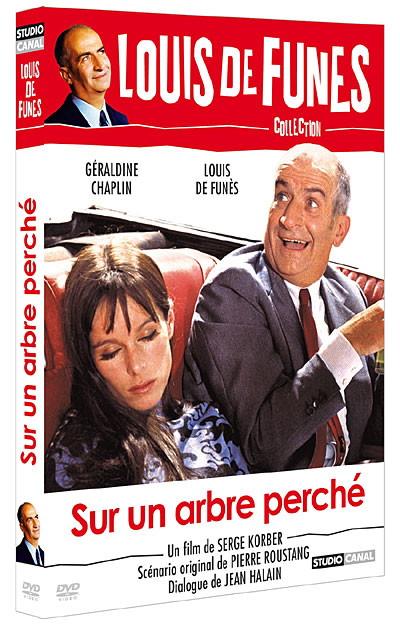 Sur un arbre perché