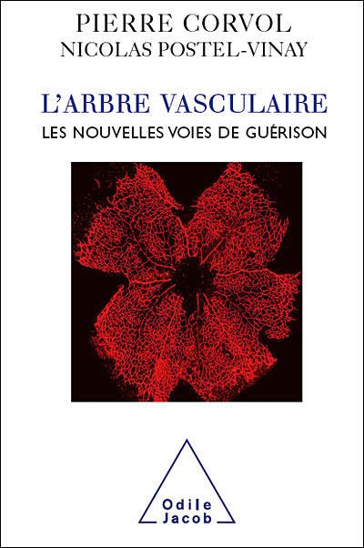L'Arbre vasculaire