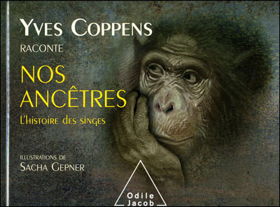 L'histoire des singes
