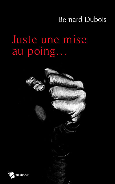 Juste une mise au poing