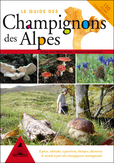 Guide des 60 meilleurs champignons comestibles - broché - Guillaume  Eyssartier, Pierre Roux, Livre tous les livres à la Fnac