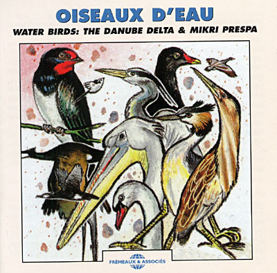 Oiseaux d'eau - Water birds
