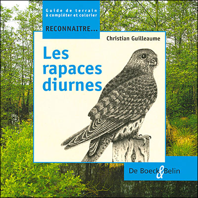 Les rapaces diurnes