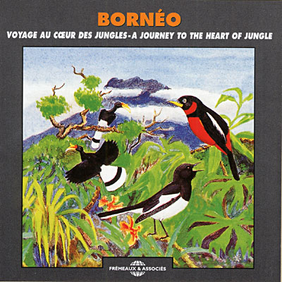 Bornéo - Voyage au coeur des jungles