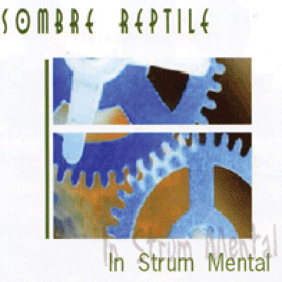 In strum mental