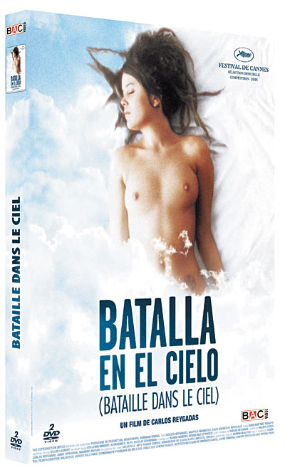 La Bataille dans le ciel