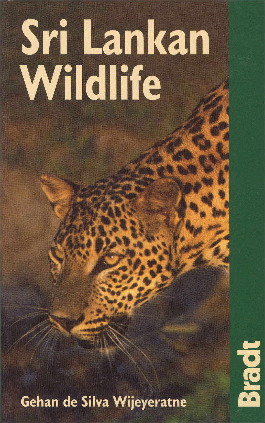 Sri Lankan wildlife