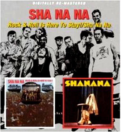 Rock and roll is here to stay - Sha na na