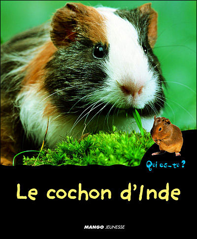 Cochons d'inde, Livre sur le cochon d'inde Edition ULMER