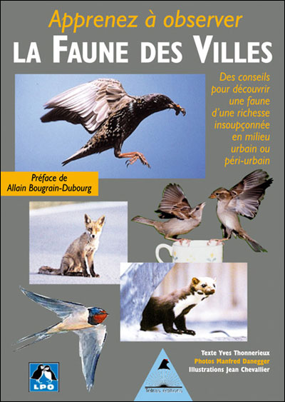 Apprenez à observer les animaux des villes