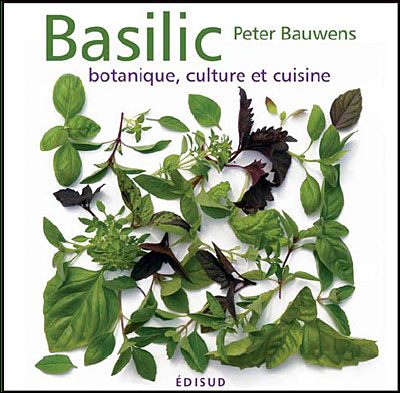 Basilic
