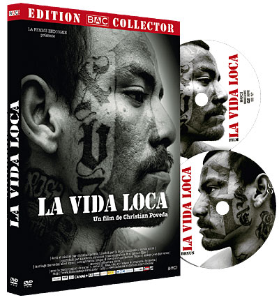 La Vida Loca - Edition Prestige