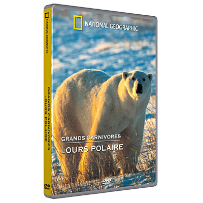 Grands carnivores - L'Ours polaire