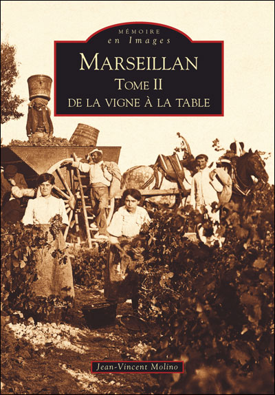 Marseillan, de la vigne à la table